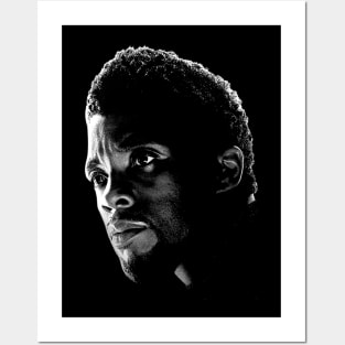 black panther Posters and Art